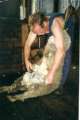 thm_sheepsheering.jpg