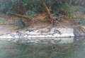 thm_viele-croc.jpg
